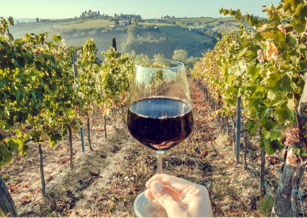 Why I can't wait to visit an Italian winery again - Wine It