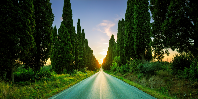 What makes Bolgheri a Superstar of Tuscan Wine? - Wine It