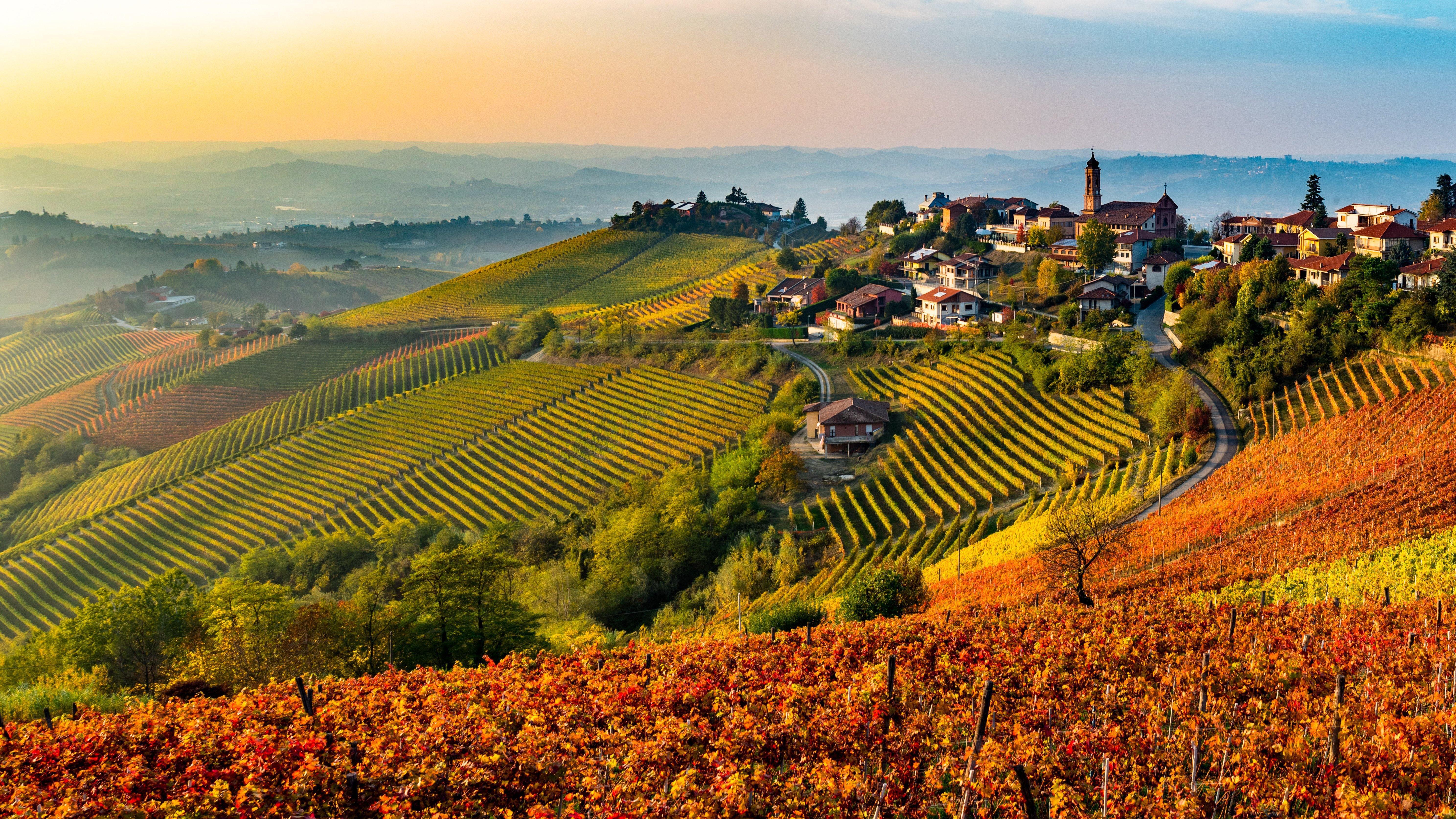 Tuscany - Wine It