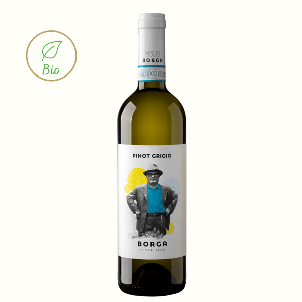 Pinot Grigio DOC delle Venezie 2020 - BORGA - Wine It