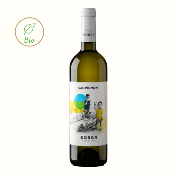 Sauvignon IGT Trevenezie 2020 - BORGA - Wine It