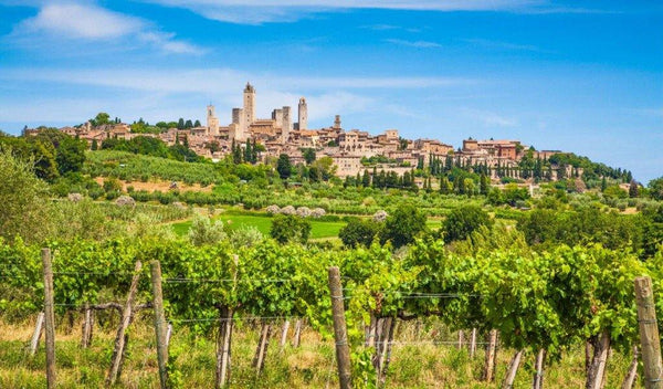 Vernaccia di San Gimignano DOCG "Le Botteghe" 2019 - SORELLI - Wine It